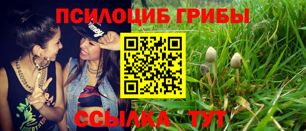Псилоцибиновые грибы Psilocybine cubensis  Вход с VPN  Евпатория 