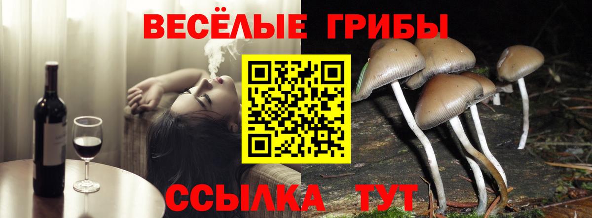 Галлюциногенные грибы Cubensis Евпатория